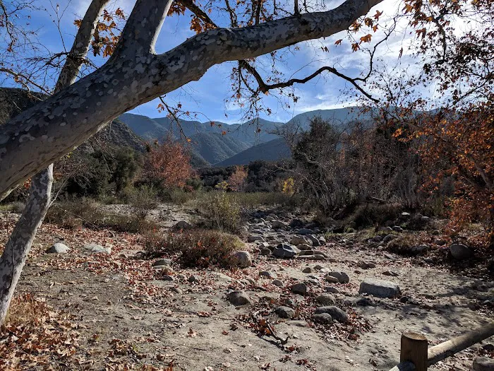 Dripping Springs Campground 3