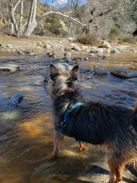 Dripping Springs Campground 4