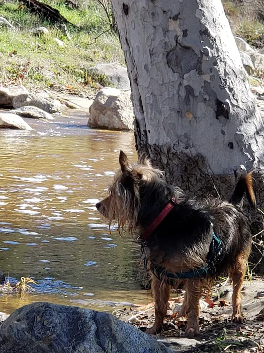 Dripping Springs Campground 8