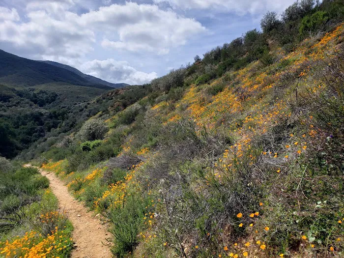Dripping Springs Campground 7