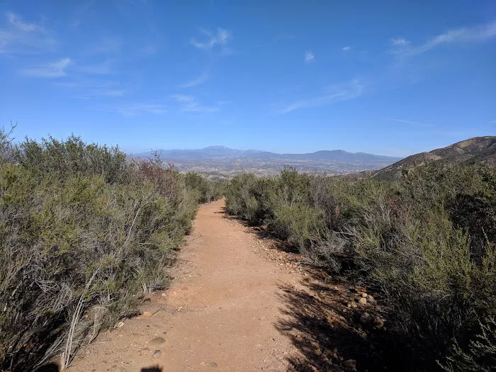 Dripping Springs Campground 6