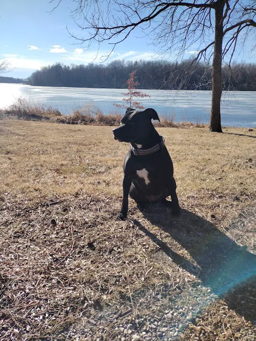 Lake Paho Campground D 3