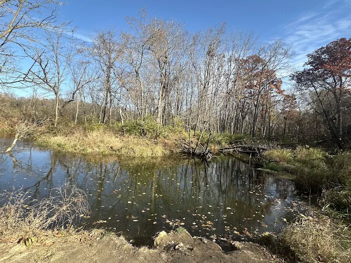 Joy Springs County Park 3