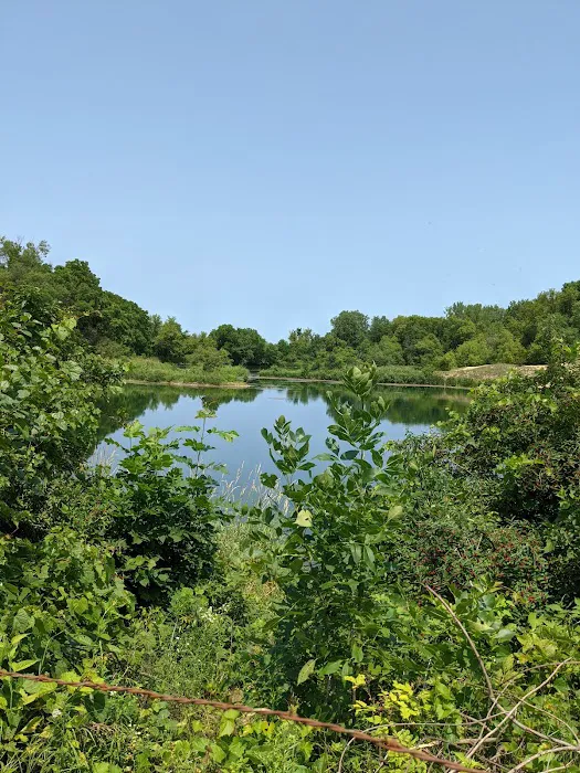 Joy Springs County Park 4