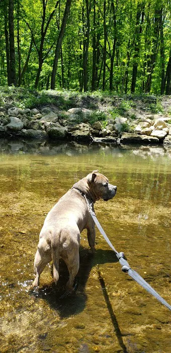 Joy Springs County Park 8
