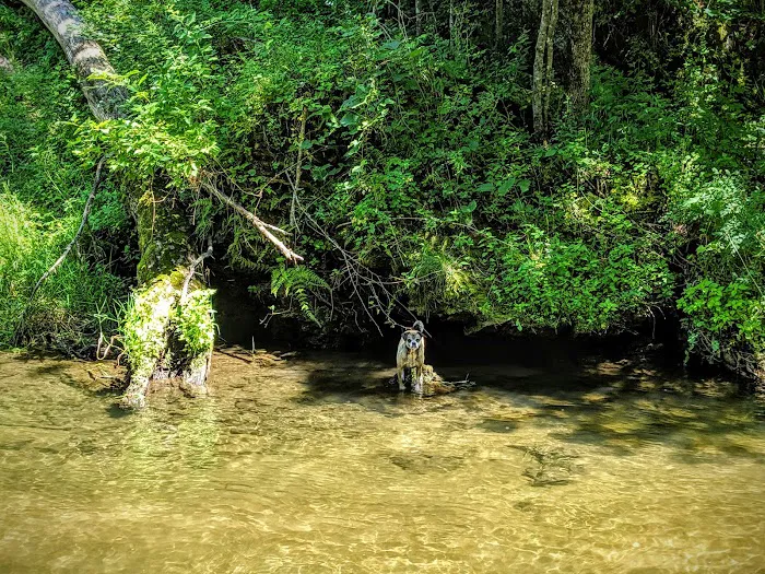 Joy Springs County Park 9
