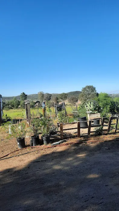 Rancho de Cumpas 0