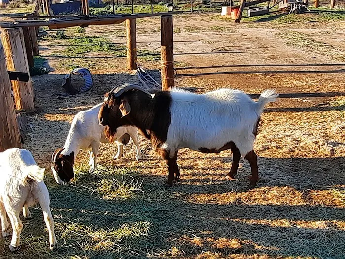 Rancho de Cumpas 3