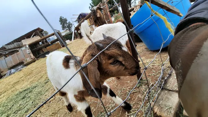 Rancho de Cumpas 6