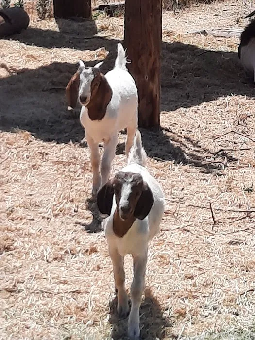 Rancho de Cumpas 7