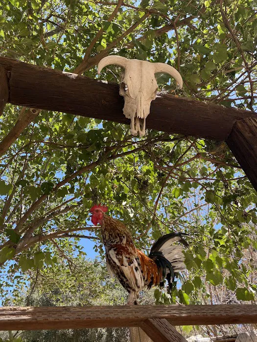 Rancho La Xocoyota 1
