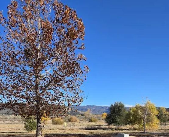 Lake Morena County Park Campground