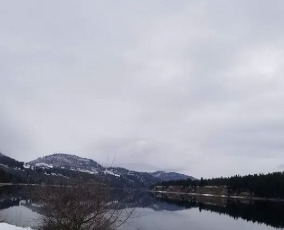Snag Cove Campground