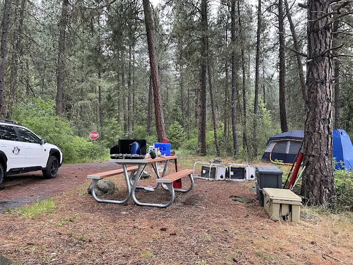 Snag Cove Campground 2