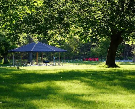 Old Kettle Falls Picnic Area