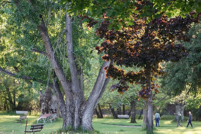 Old Kettle Falls Picnic Area 8