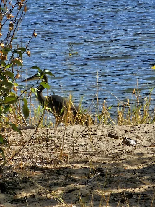 Haag Cove Campground 6