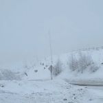 Deer Creek Forest Camp