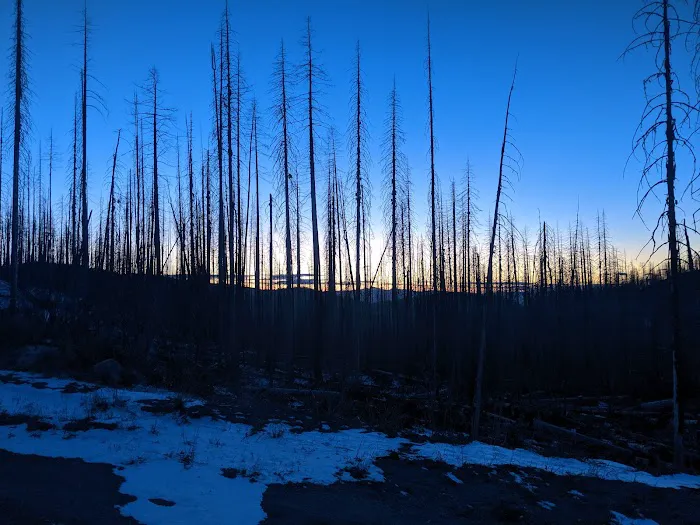 Deer Creek Forest Camp 1