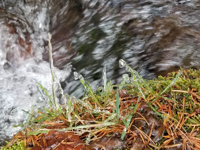 Thirteenmile Campground 2