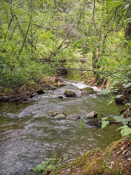 Thirteenmile Campground 1