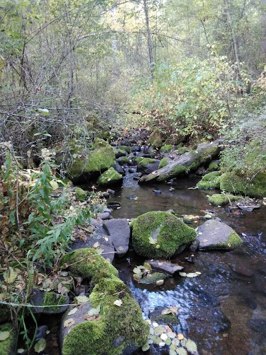 Thirteenmile Campground 4
