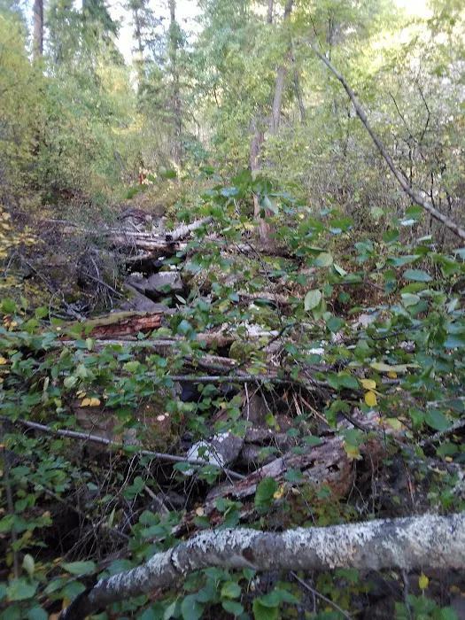 Thirteenmile Campground 7