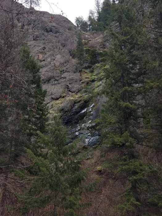 Thirteenmile Campground 8