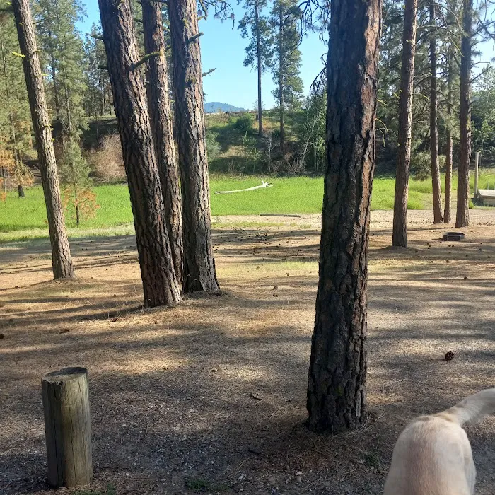 Cloverleaf Campground 2