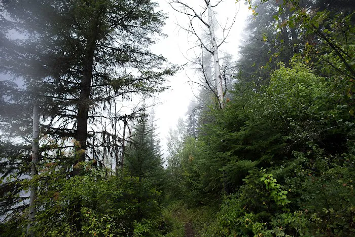 Noisy Creek Campground 3