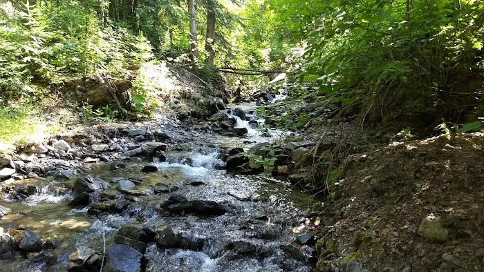 Noisy Creek Campground 9