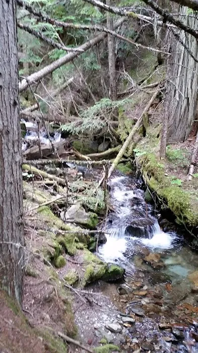 Noisy Creek Campground 8