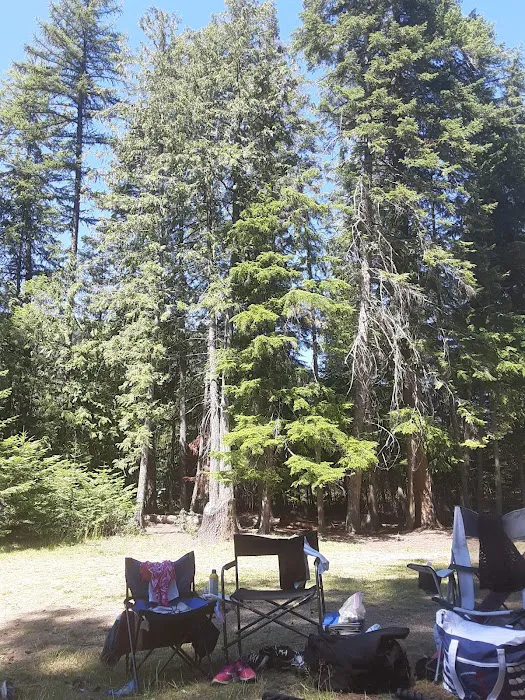 West Sullivan Campground 5
