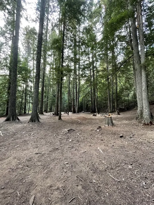 Devil’s Canopy 0