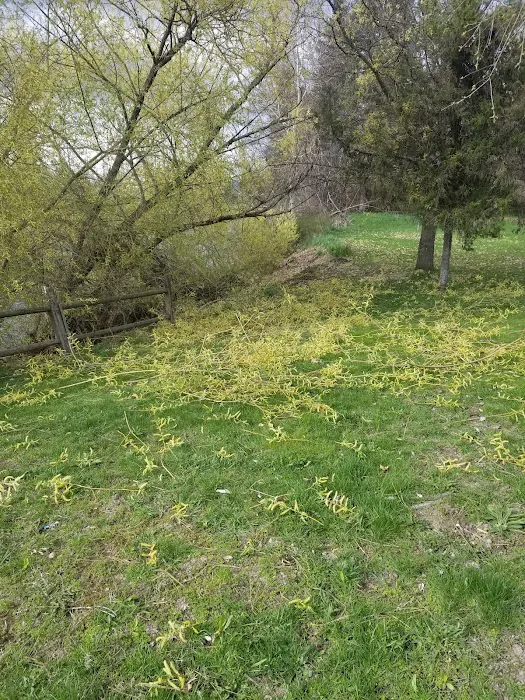 Calispel Creek RV Court 3
