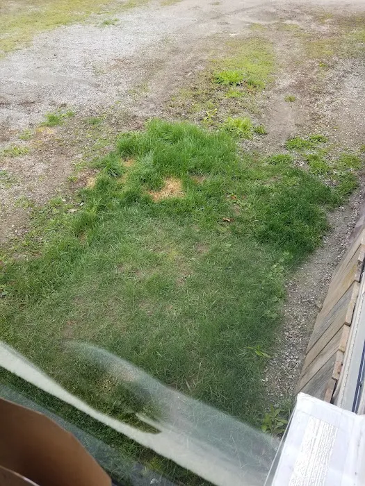 Calispel Creek RV Court 5