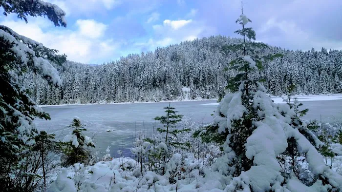 South Skookum Lake Campground 7