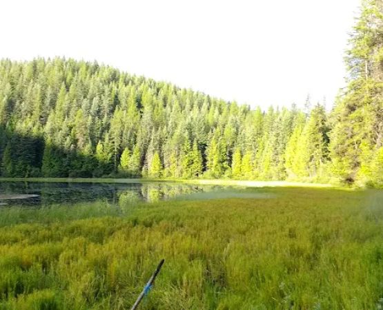 Petit Lake Campground