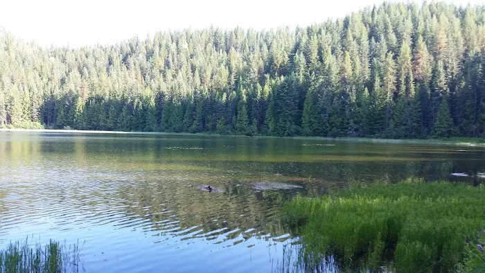 Petit Lake Campground 2