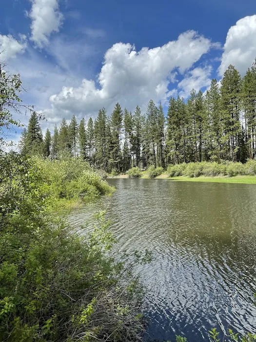 Skookum Creek Campground 0