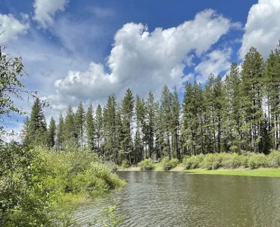 Skookum Creek Campground