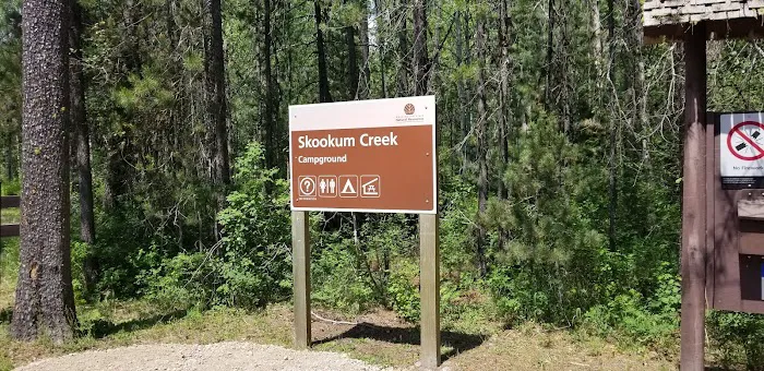 Skookum Creek Campground 1