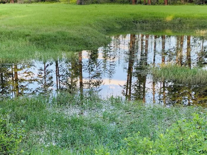 Skookum Creek Campground 4