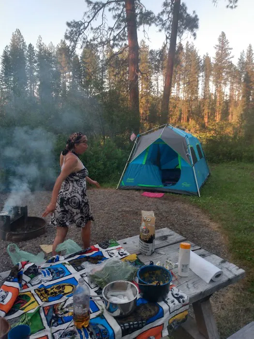 Skookum Creek Campground 5