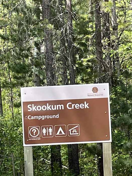 Skookum Creek Campground 6