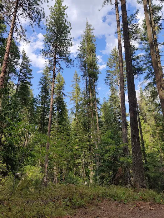 Luby Bay Campground 7