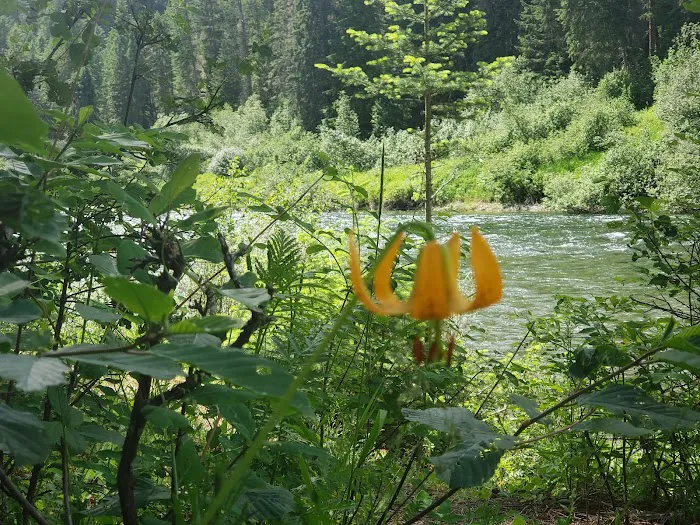 Dickensheet Campground 4