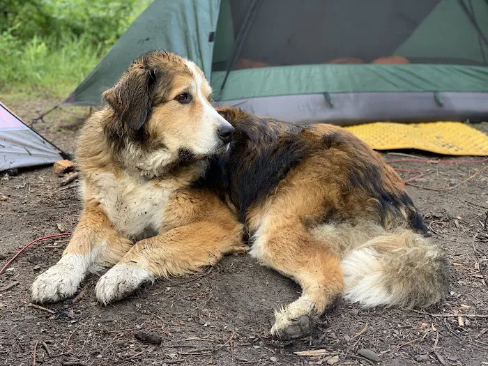 Dickensheet Campground 6