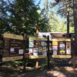 Outlet Campground at Priest Lake