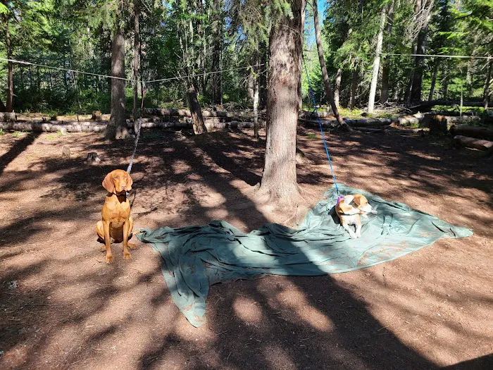 Outlet Campground at Priest Lake 1